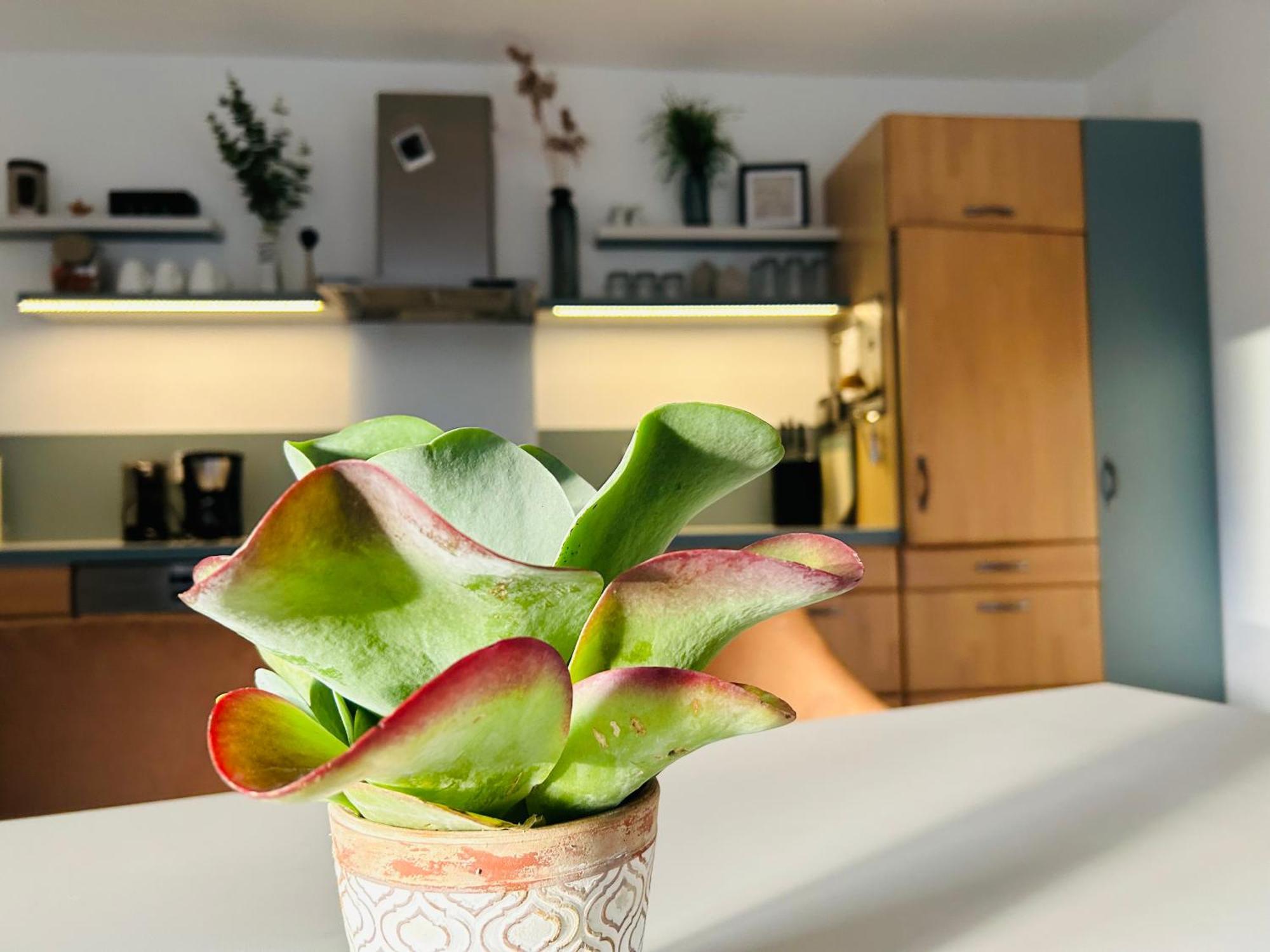 137Hideaway Ferienwohnung Eichstaett Exteriör bild