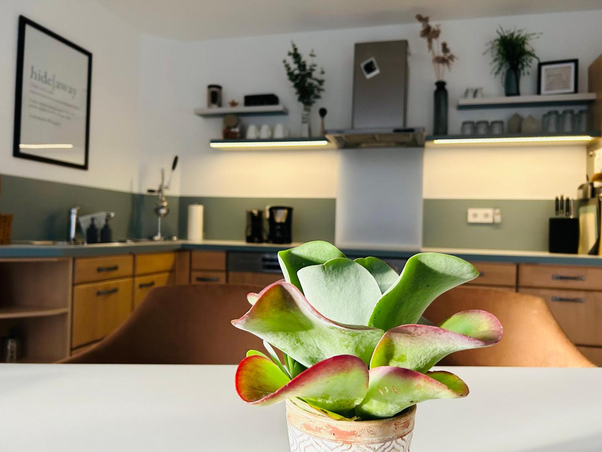 137Hideaway Ferienwohnung Eichstaett Exteriör bild